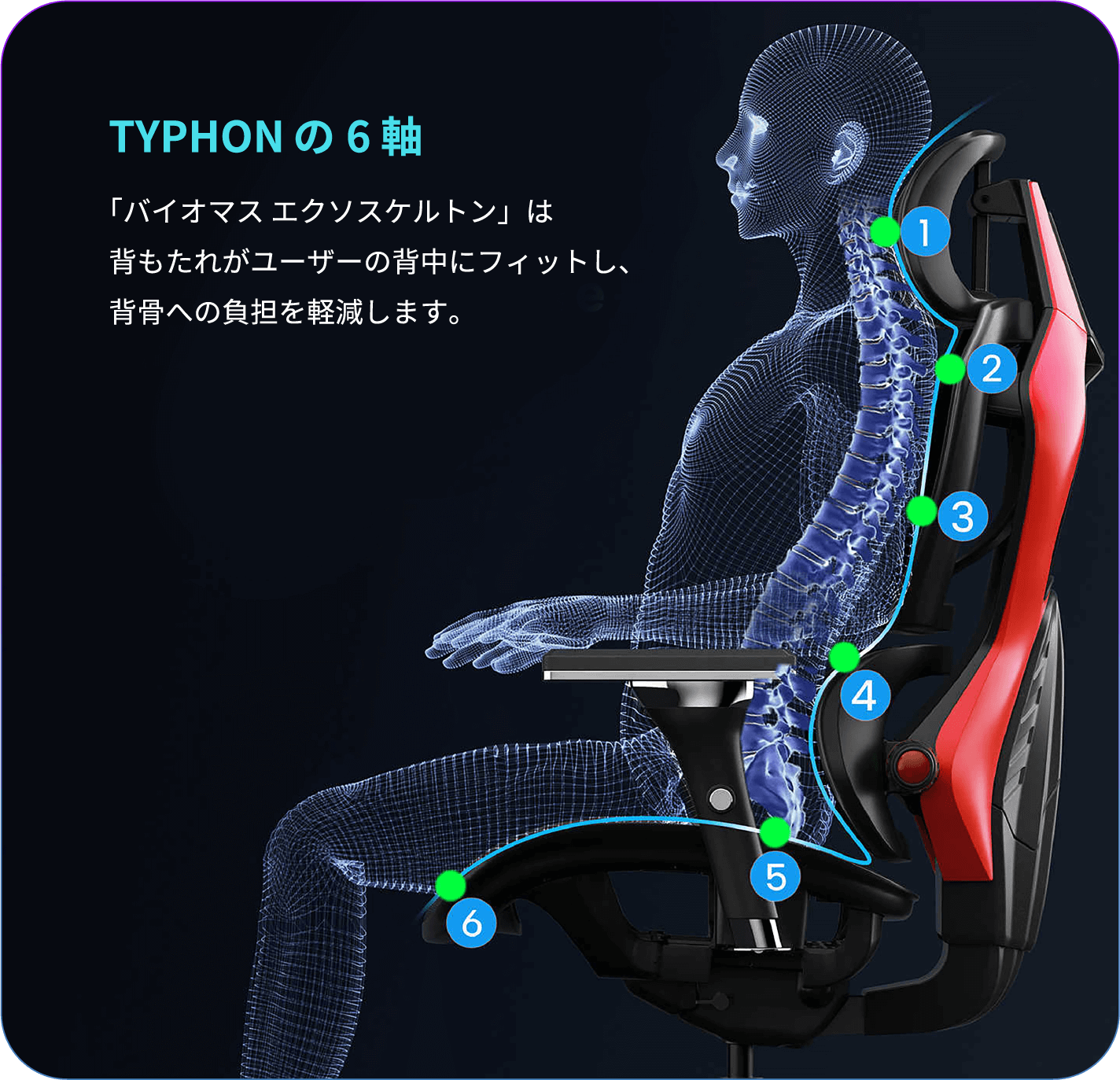 TYPHONの6軸 「バイオマス エクソスケルトン」は背もたれがユーザーの背中にフィットし、背骨への負担を軽減します。